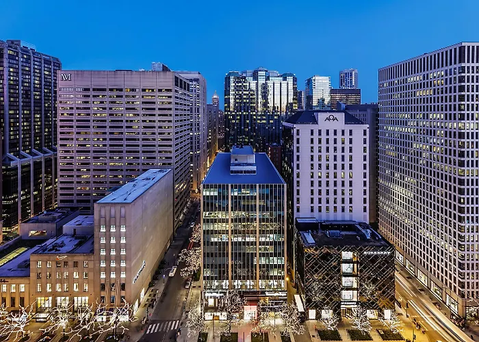 By Marriott Downtown Magnificent Mile Hotel 3*